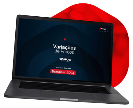 neogrid_variacao-de-preco_dezembro-2024